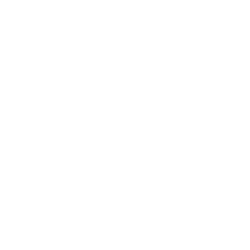 Synodz